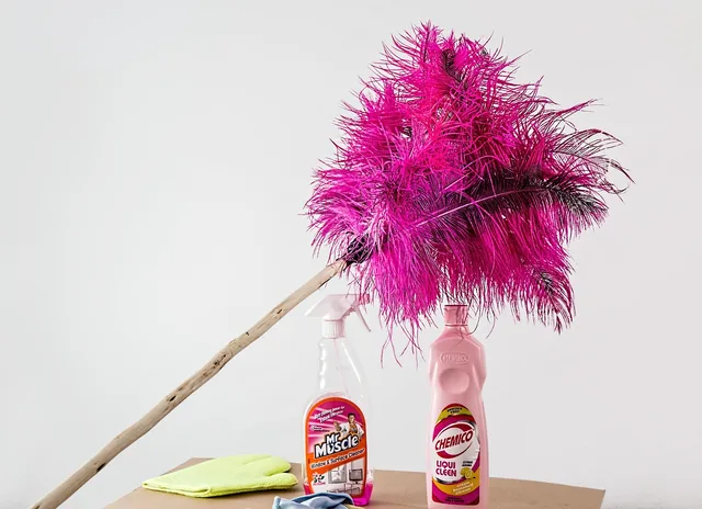 feather duster, cleaning, housework, cleaner, domestic chores, housekeeping, spray, tidy, cleanup, feather duster, feather duster, feather duster, cleaning, housework, cleaner, cleaner, cleaner, housekeeping, housekeeping, housekeeping, housekeeping, housekeeping, tidy, tidy, tidy. Commercial cleaning license requirements: the questions that matter