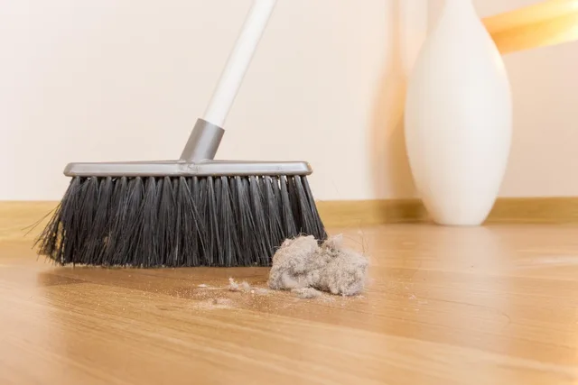 broom, dirt, dust, clump, garbage, house, indoors, interior, working, ball, besom, brooming, chaos, chores, clean, cleaning, domestic, broom, broom, broom, broom, broom, chores. How to bundle commercial cleaning services