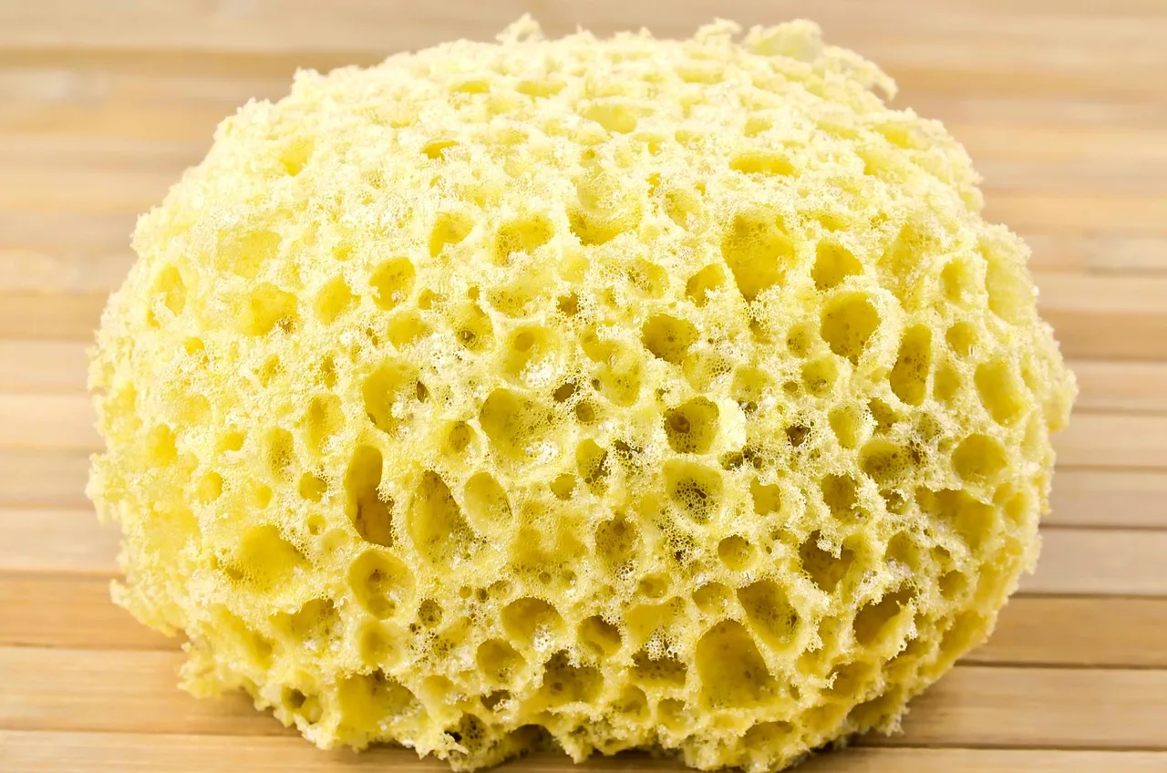 washing sponge, sponges, cleaning, washing, bathroom, sponges, sponges, sponges, sponges, sponges. Getting commercial cleaning customers to say yes